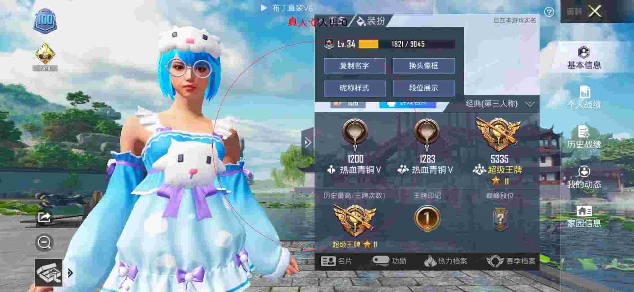 和平精英布丁直装透视 - 和平精英飞机上恶搞外挂辅助预览图